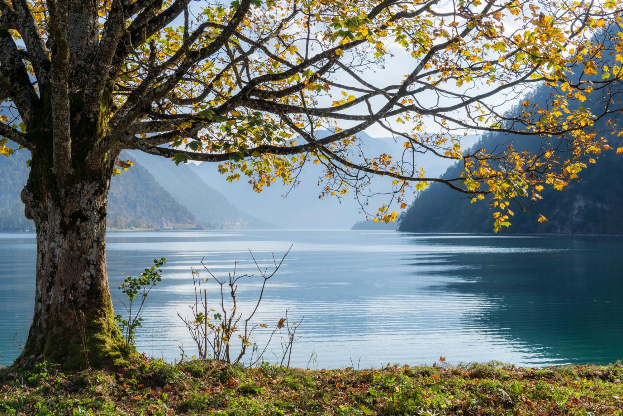 Posthotel Achenkirch Resort And Spa - Adults Only Luaran gambar